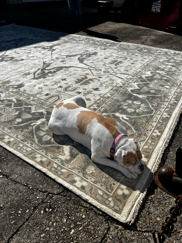 Carol 12.3x18 Ivory and Grey Hand-Knotted Oushak Rug | Banana Manor Rug Company