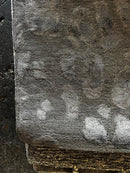 Fountain of Youth 8x11 Brown Hand-Tufted Rug | Banana Manor Rug Factory Outlet