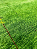 Kramer Green Handwoven Rug (Multiple Sizes) | Banana Manor Rug Company