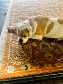 Linnea Berthelsen 7.9x9.9 Rust and Beige Hand-Tufted Rug | Banana Manor Rug Company