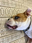 Rosie Perez 9x11.9 Design Wool & Jute Durrie Rug | Banana Manor Rug Company