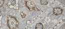 Sigrid Thornton Hand-Knotted Oushak Rug Grey and Ivory 8X10 | Banana Manor Rug Company