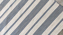 Larry 8x11.3 White and Blue Handwoven Striped Durrie Rug | Banana Manor Rug Company